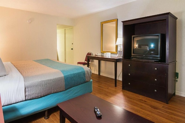 Motel 6 Ocala Conference Center image 20